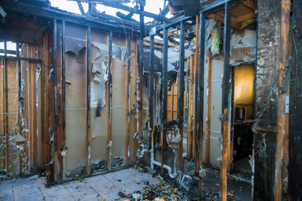 Professional Fire Damage Removal technician working in Holbrook, NY